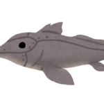 深海魚ギンザメの種類ってどれくらいいる！？